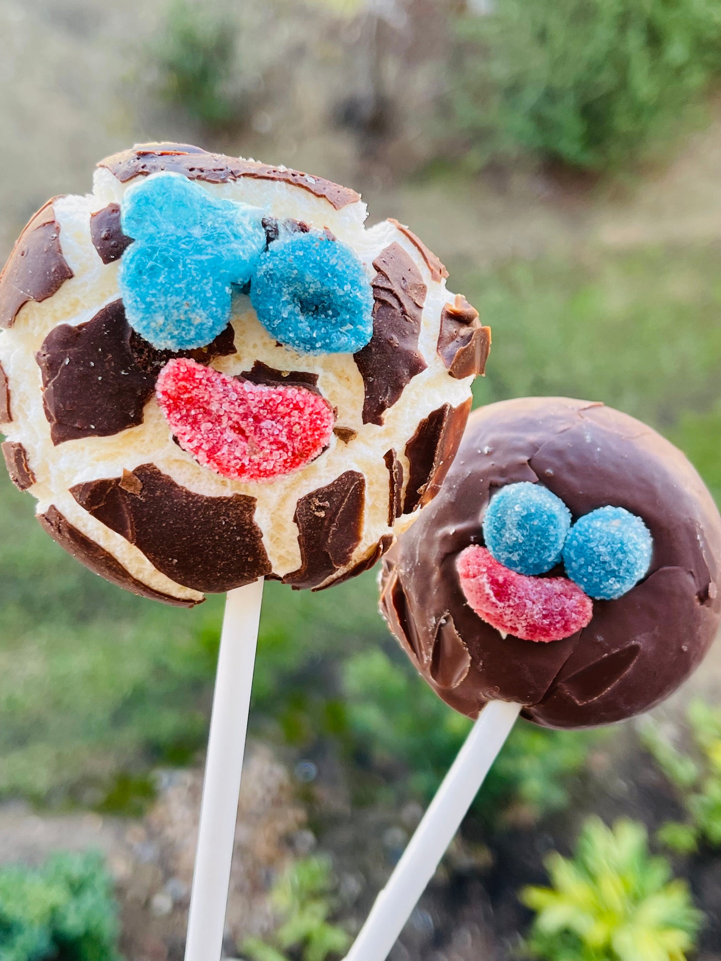 Payaso FD Paleta
