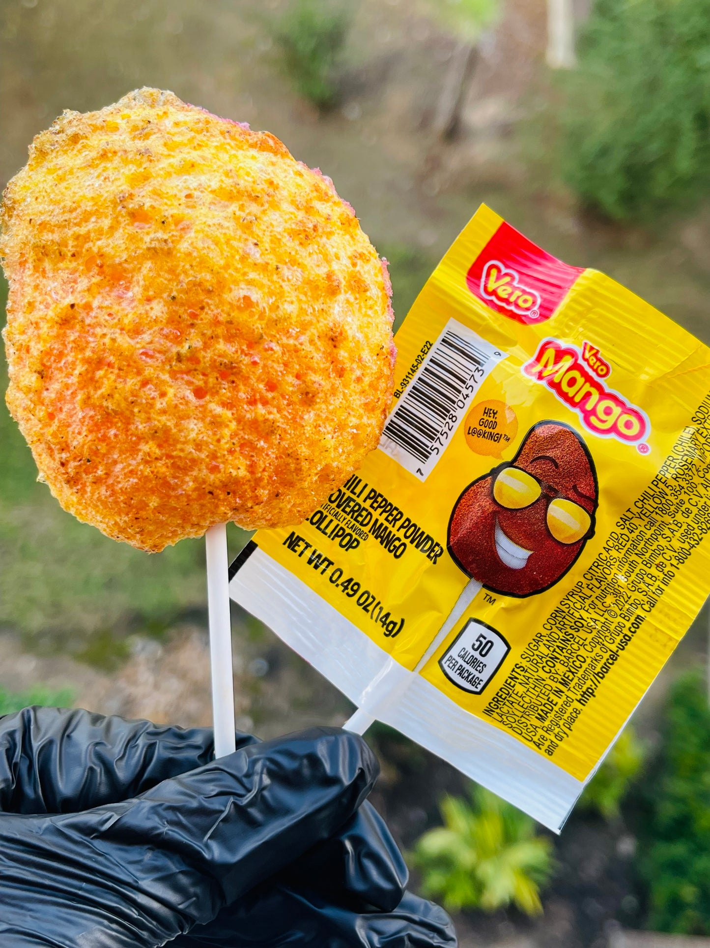 FREEZE DRIED PALETA MANGO